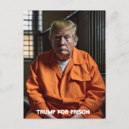 Trump im Gefängnis Postkarte