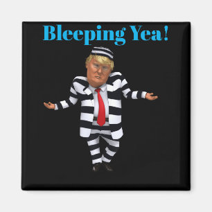 Trump im Gefängnis Wear Magnet