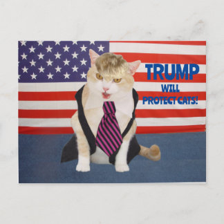 Trump Kitty Postcard Postkarte