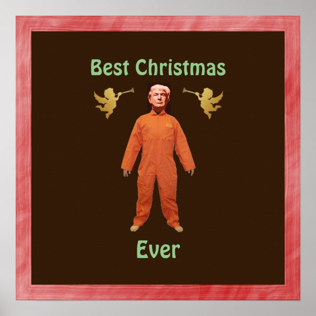 Trump Prisoner Poster (Vorne)