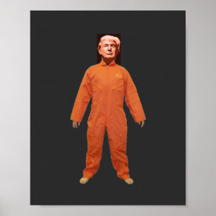 Trump Prisoner Poster