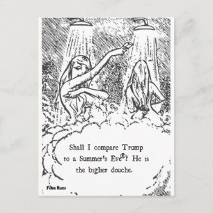 Trump-Sommer-Postkarte Postkarte