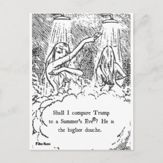 Trump-Sommer-Postkarte Postkarte