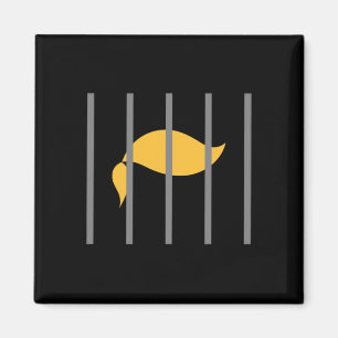 Trump tadelt Anti-Trump hinter Bars Magnet