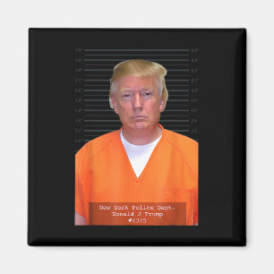 Trump Tasse Shot Range Jumpsuit Parody Behind Bars Magnet