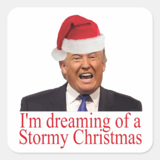 Trump träumt von einem Weihnachtsstürm Quadratischer Aufkleber