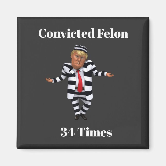Trump verurteilte Felon Magnet (Vorne)
