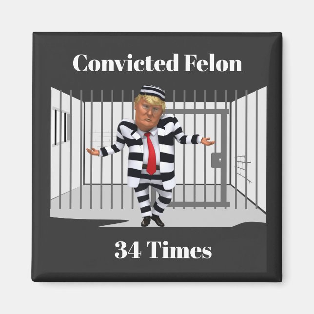 Trump verurteilte Felon Magnet (Vorne)