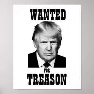 Trump Wollte Poster Treason