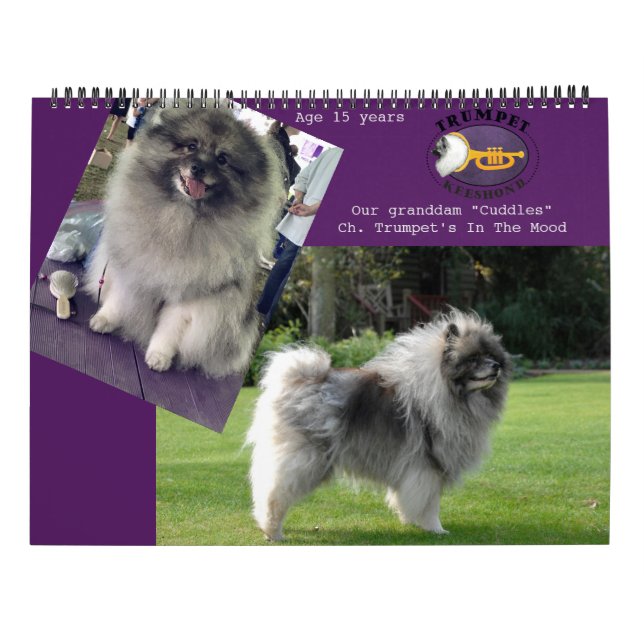 Trumpet Keeshond Calendar 2018 Kalender (Rückseite)