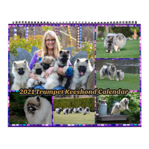 Trumpet Keeshond Calendar 2021 Kalender