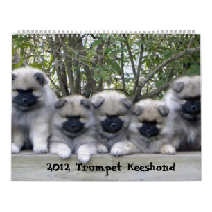 Trumpet Keeshond Kalender 2012