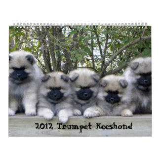 Trumpet Keeshond Kalender 2012