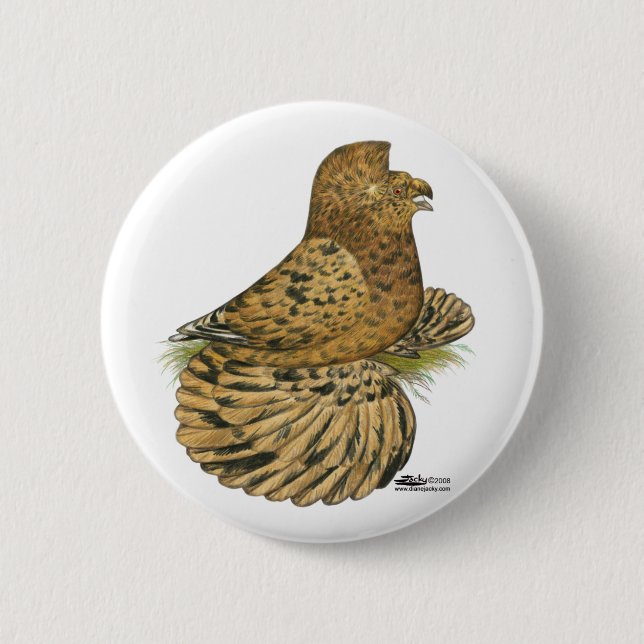 Trumpeter Pigeon Almond Button (Vorderseite)