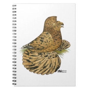 Trumpeter Pigeon Almond Notizblock