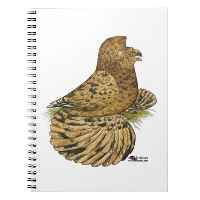 Trumpeter Pigeon Almond Notizblock (Vorderseite)