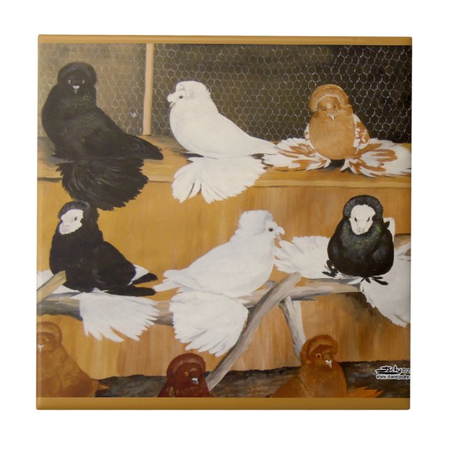 Trumpeter Pigeon Champions Fliese (Vorderseite)