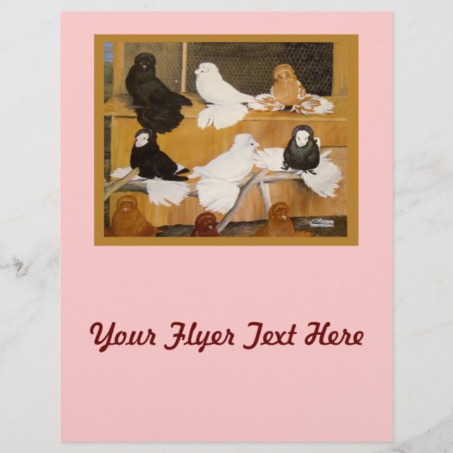 Trumpeter Pigeon Champions Flyer (Vorne)