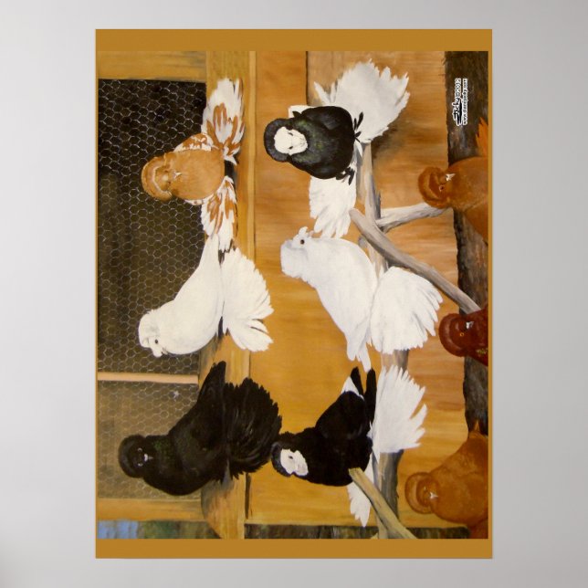 Trumpeter Pigeon Champions Poster (Vorne)