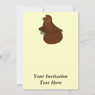 Trumpeter Pigeon Red Einladung