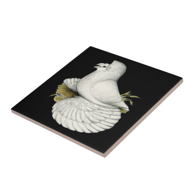 Trumpeter Pigeon White Fliese (Seite)