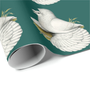 Trumpeter Pigeon White Geschenkpapier