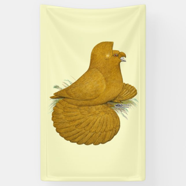 Trumpeter Pigeon Yellow Self Banner (Vertikal)