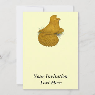 Trumpeter Pigeon Yellow Self Einladung
