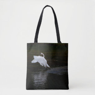 Trumpeter Swan