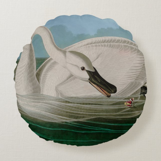 Trumpeter Swan Birds of America Audubon Print Rundes Kissen (Vorderseite)