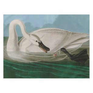 Trumpeter Swan Birds of America Audubon Print Tischdecke