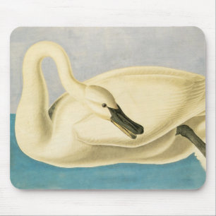 Trumpeter Swan by John James Audubon, Vintage Bird Mousepad