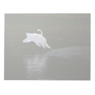 Trumpeter Swan Notizblock