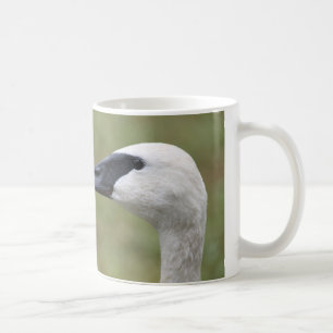 Trumpeter Swan-Tasse Kaffeetasse