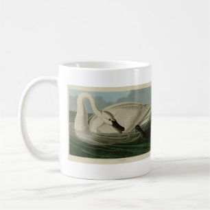 Trumpeter Swan - von Audubons Vögeln Amerikas Kaffeetasse