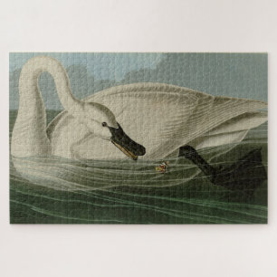 Trumpeter Swan - von Audubons Vögeln Amerikas Puzzle