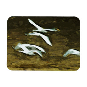 Trumpeter Swans in Flight Abstrakten Impressionism Magnet
