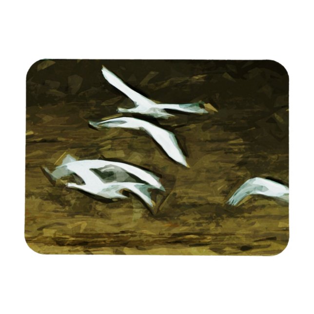 Trumpeter Swans in Flight Abstrakten Impressionism Magnet (Horizontal)