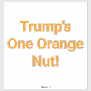 Trumps Eine Orange Nuss! Hankamer Artjunkhaus Lust Aufkleber
