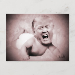 Trumps rosafarbene Postkarten für den Präsidenten