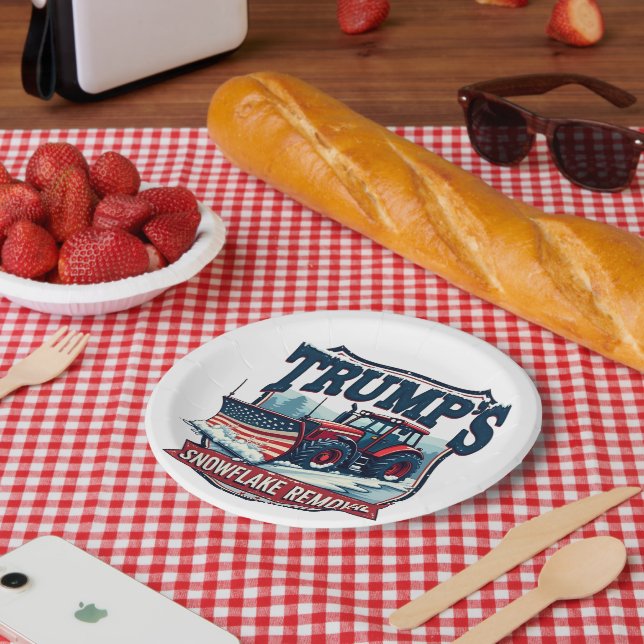 Trumps Tag der Amtseinführung eines Snowflake Rmov Pappteller (Picknick)