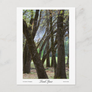Trunk Space Prints Postkarte