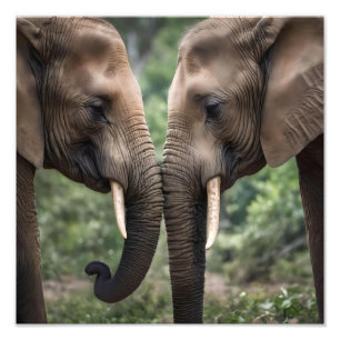 "Trunk to Trunk: Eine sanfte ElefantenEmbrace" Fotodruck