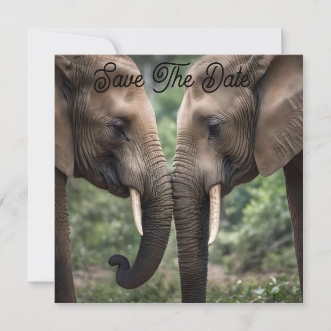 "Trunk to Trunk: Eine sanfte ElefantenEmbrace" Save The Date (Vorderseite)