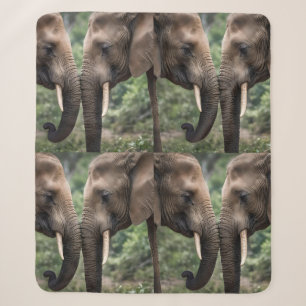 "Trunk to Trunk: Eine sanfte ElefantenEmbrace" Sherpadecke