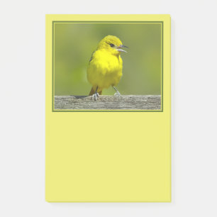 Trupial - Originalfotografie Post-it Klebezettel