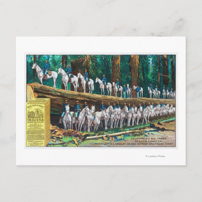 Truppe I auf und vor dem gefallenen Riesen Postkarte (Vorderseite)