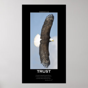 TRUST Bald Eagle Motivierend Poster