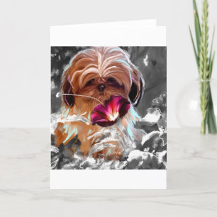 Trust more new.jpg karte