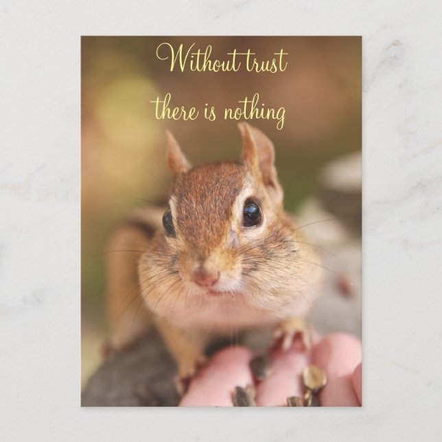 Trusted Chipmunk Postkarte (Vorderseite)